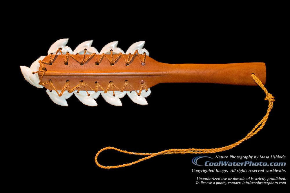 Những chiếc răng này được đặt khéo léo vào các rãnh khắc trên chiếc chày và khâu lại qua các lỗ khoan để cố định.