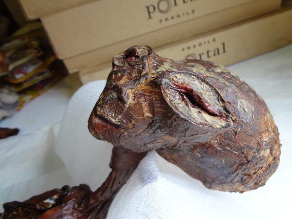 Tuy nhiên, tất cả vụ việc này chỉ được biết đến qua lời kể của một nhân chứng. Nhiều người đã bày tỏ sự hoài nghi về tính chân thực của thông tin được công bố.