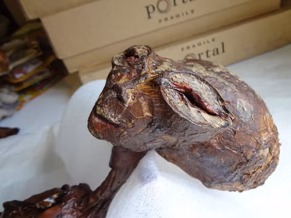 Tuy nhiên, tất cả vụ việc này chỉ được biết đến qua lời kể của một nhân chứng. Nhiều người đã bày tỏ sự hoài nghi về tính chân thực của thông tin được công bố.