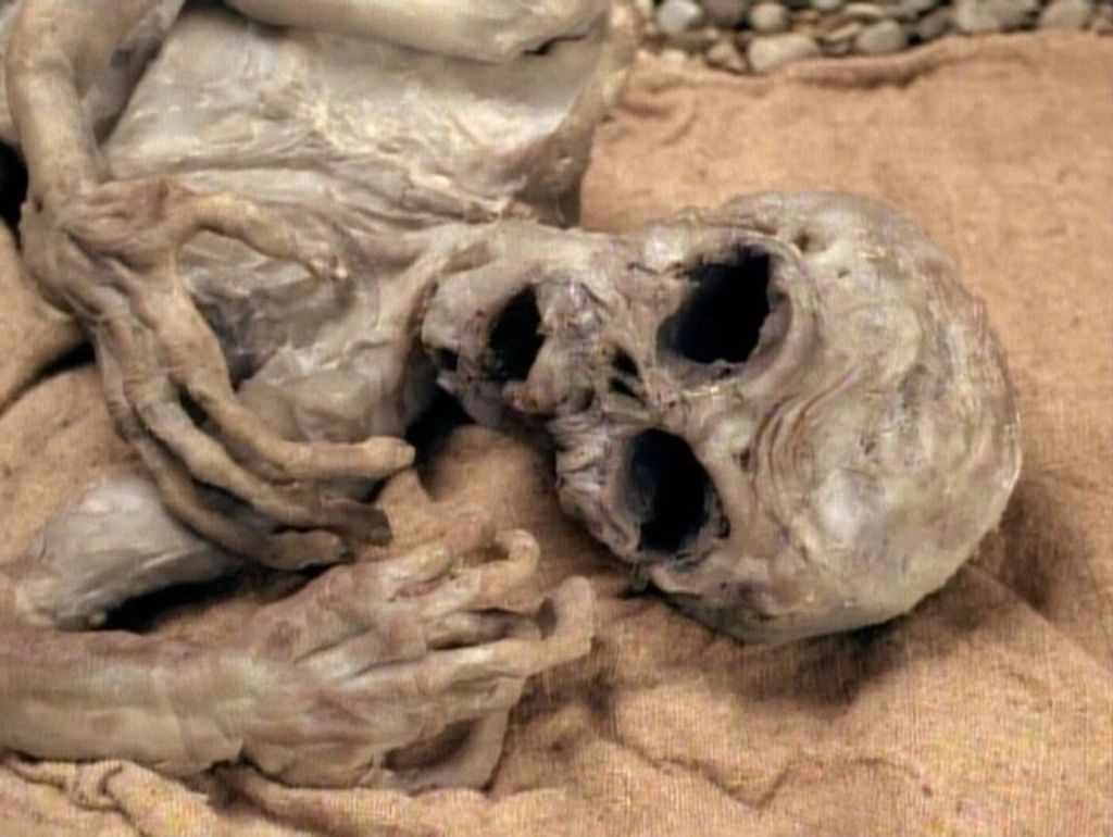 Người cháu này khẳng định chú của anh ta (thành viên đội cứu hộ) đã được tiếp cận nhiều xác chết cao khoảng hơn 1 mét, có hình thù dị thường, không giống con người.