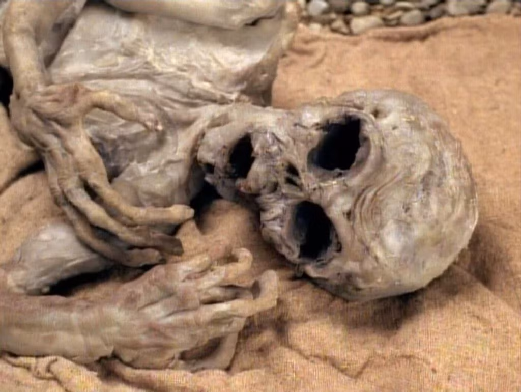 Người cháu này khẳng định chú của anh ta (thành viên đội cứu hộ) đã được tiếp cận nhiều xác chết cao khoảng hơn 1 mét, có hình thù dị thường, không giống con người.