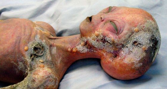 Có lẽ, sự thật về câu chuyện này sẽ mãi mãi là một bí mật không có lời giải đáp.