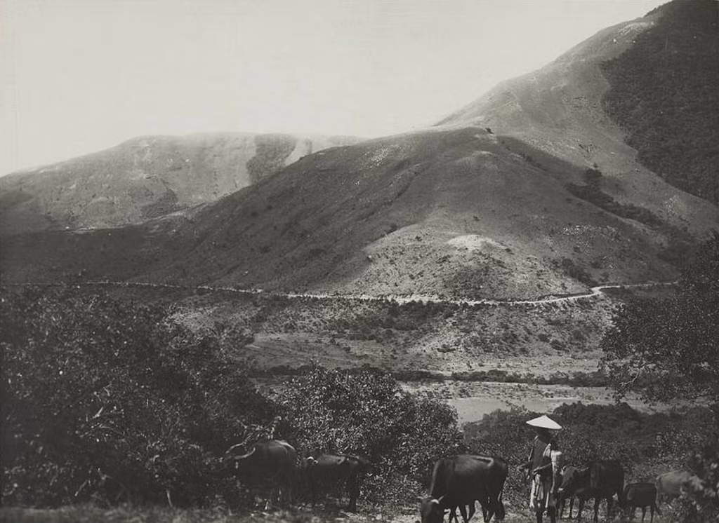 Một cung đường trên Đèo Ngang thập niên 1920.