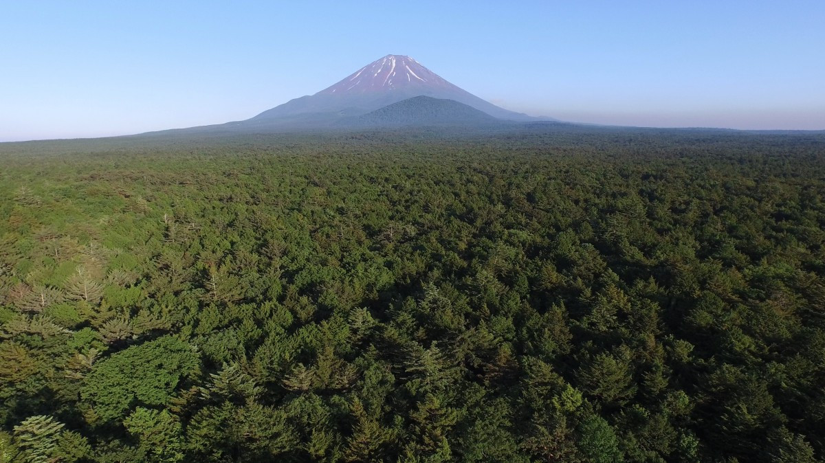 Nguoi canh giu “khu rung tu sat“: No luc khong ngung bao ve-Hinh-2