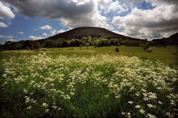  10. Dãy núi lửa Puys (Pháp). Đây là một chuỗi 80 núi lửa không còn hoạt động trải dài trên 40 km ở miền trung nước Pháp. Du khách có thể đi tàu để lên đỉnh núi cao nhất và ngắm nhìn không gian kì vĩ ở di sản thiên nhiên này.