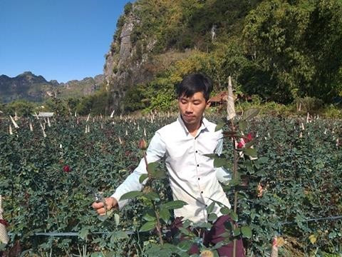 Bo thu do len nui trong hoa hong, trai tre 9x phat trong thay