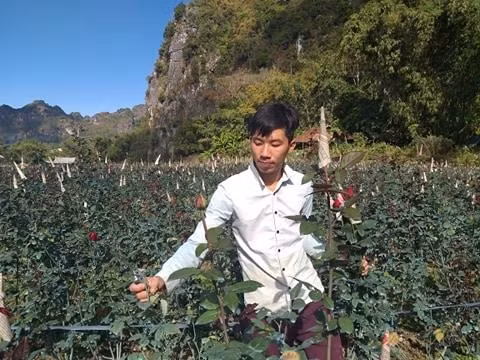 Bo thu do len nui trong hoa hong, trai tre 9x phat trong thay