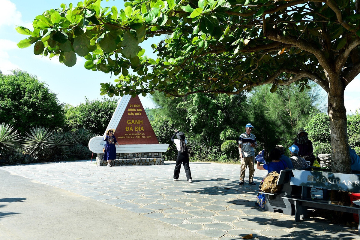 Ghenh Da Dia, tuyet tac dieu ky hang tram trieu nam tuoi o Phu Yen-Hinh-17