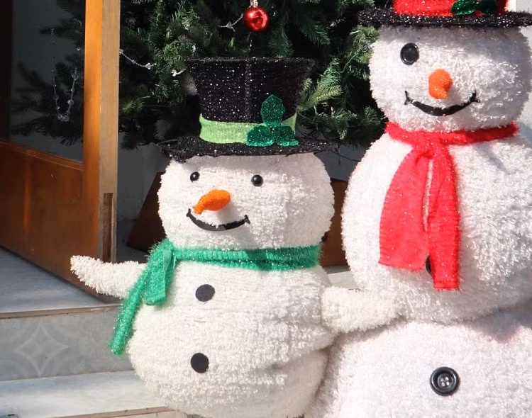 Chi 250 trieu dong mang ca “rung thong” ve trang tri, nhieu nguoi me-Hinh-6