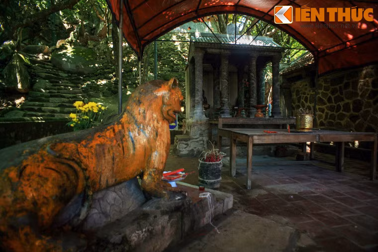 Bên cạnh Phật giáo, ngôi chùa cũng mang dấu ấn các tín ngưỡng dân gian của người Việt. Ảnh: Tượng hổ chầu và điện thờ Thánh mẫu ở bên trái chính điện, thể hiện nét văn hóa của đạo Mẫu.