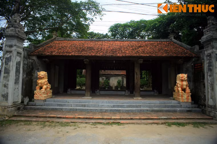 Thái miếu nhà Hậu Lê là một di tích lịch sử quan trọng của tỉnh Thanh Hóa. Công trình đã được cấp Bằng Di tích lịch sử văn hóa và kiến trúc nghệ thuật cấp quốc gia. Tuy nhiên, khi đến thăm di tích này, hình ảnh đập ngay vào mắt là đôi sư tử đá kiểu Trung Quốc màu vàng rực án ngữ hai bên nhà tiền điện.