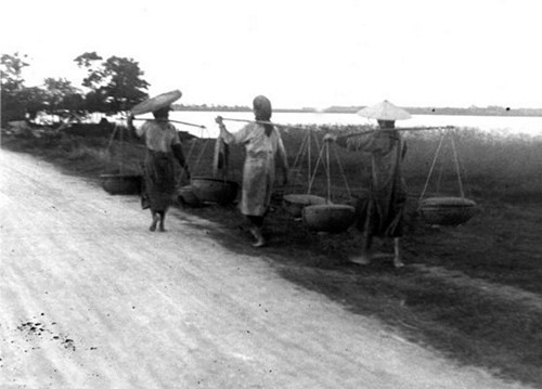 Những đôi chân trần bước trên đê sông Hồng.