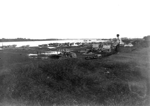 Điểm tập kết gỗ bên bến sông Hồng.