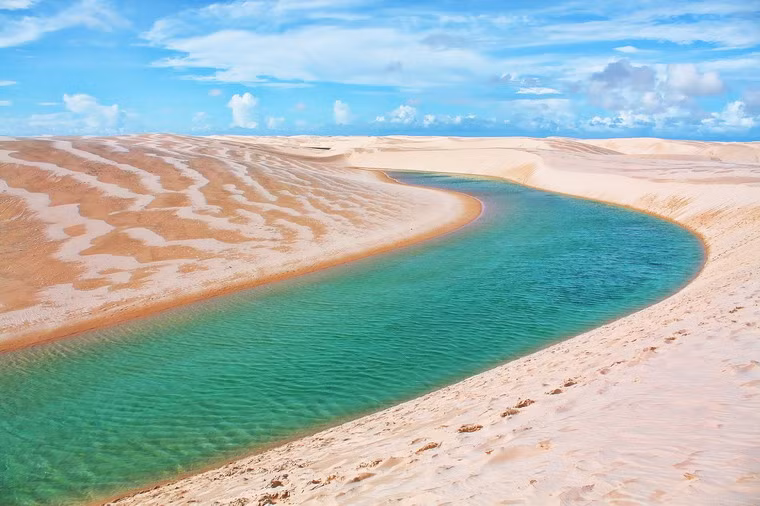 Một điều đặc biệt nữa, dù được gọi là Vườn quốc gia nhưng có rất ít loài động thực vật sinh sống ở Lençóis Maranhenses do điều kiện thổ nhưỡng khắc nghiệt.