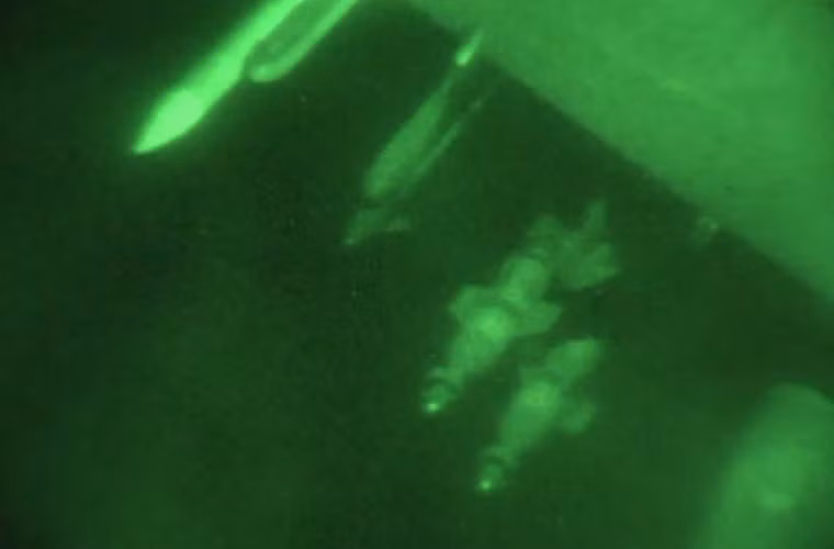 Trên các giá treo F-16C mang bom dẫn đường lade và tên lửa không đối không.