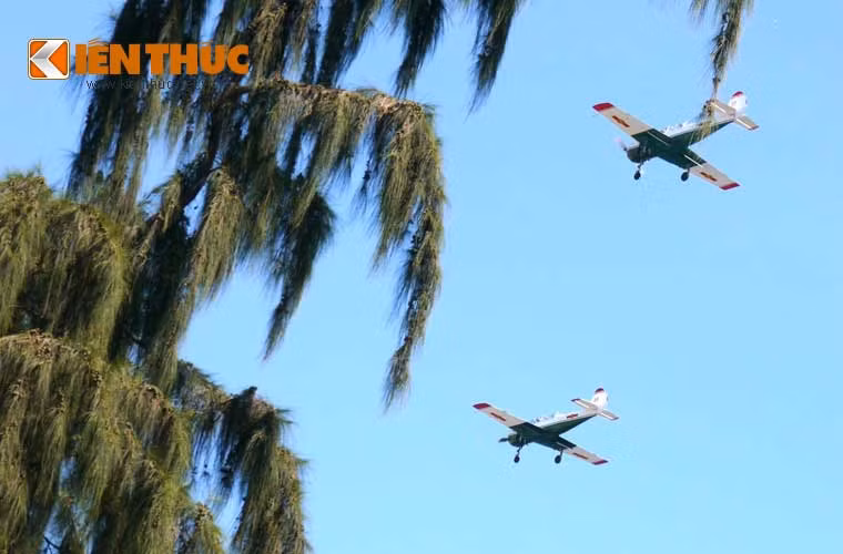 Biên đội máy bay huấn luyện Yak-52 của Trung đoàn 910 trên bầu trời Nha Trang xinh đẹp vào cuối tuần qua. Ảnh: Hà Trang