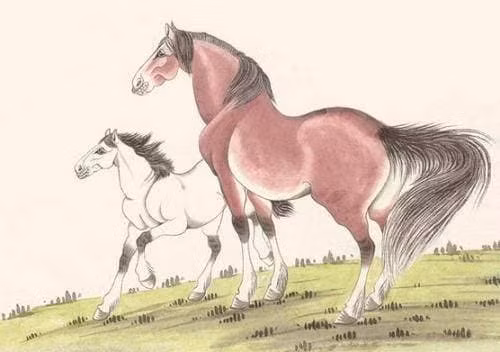 Lúc trẻ làm ăn không suôn sẻ nhưng sau tuổi trung niên bắt đầu có nhiều sao may mắn vây quanh, không những đi đâu cũng gặp được quý nhân mà còn được trời ban thưởng. 