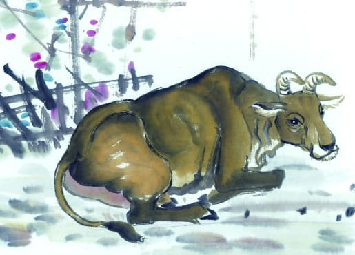 Người tuổi Sửu sẽ có được nhiều cơ hội, sự nghiệp thăng hoa, từng bước một sẽ có được của cải và địa vị đáng có.