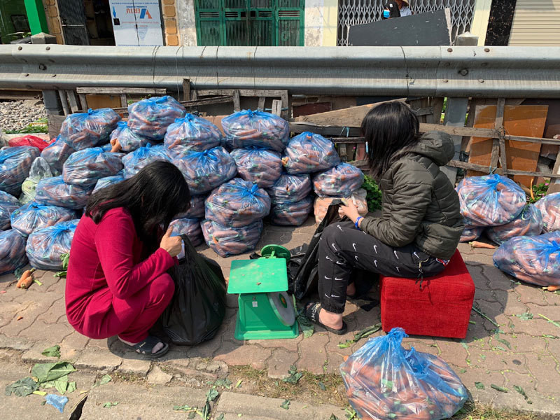 Dan Ha Noi chung tay giai cuu rau xanh cho nong dan Hai Duong-Hinh-6