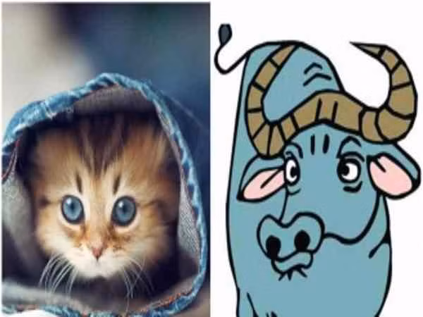 4 con giap nam noi tieng dao hoa, phong luu va hay co quy den