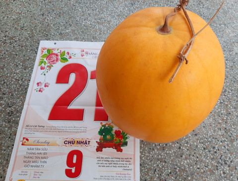 Qua dua hau vang chung 47 ngay van khong hong o Vinh Long-Hinh-2