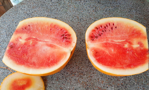 Qua dua hau vang chung 47 ngay van khong hong o Vinh Long-Hinh-4