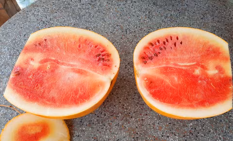 Qua dua hau vang chung 47 ngay van khong hong o Vinh Long-Hinh-4