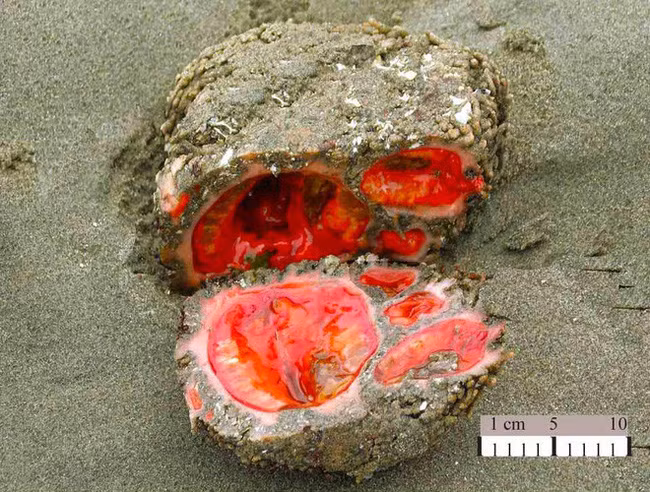 Nhung hien tuong la chung minh rang Trai dat ta vo cung bi an-Hinh-2