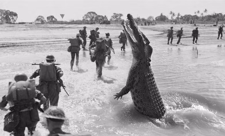 "Lạnh sống lưng" với 6 hòn đảo đáng sợ nhất thế giới ảnh 8