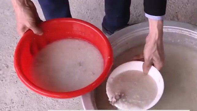 Nuôi loài đặc sản núi rừng, cho ăn cháo gà, bán 2 triệu/kg Nuoi loai dac san nui rung, cho an chao ga, ban 2 trieu/kg