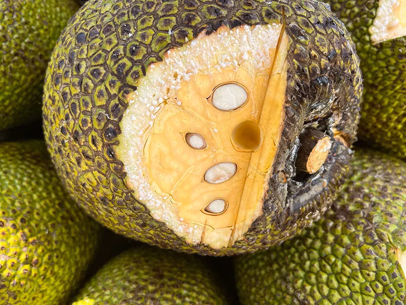 Mit Thai tu mien Nam do ra Ha Noi, gia re chua tung co