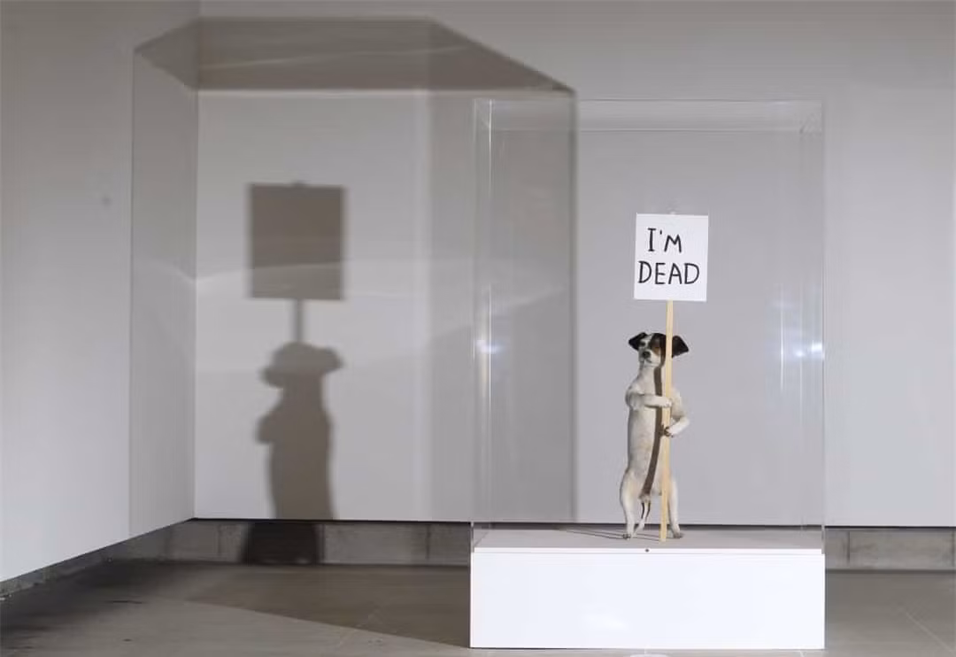 Tác phẩm điêu khắc Jack Russell cầm tấm biển ghi dòng chữ 'Tôi đã chết (2010)' là của David Shrigley. Con chó trông giống như thật là hiện thân của một sự châm biếm vô cùng thuần túy.
