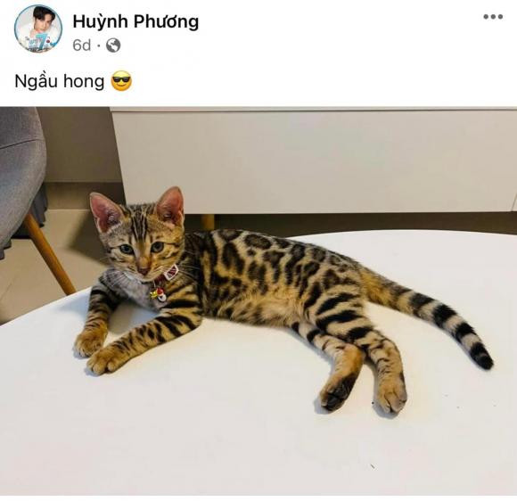 Huynh Phuong dinh tin don hen ho voi hot girl xinh dep-Hinh-3