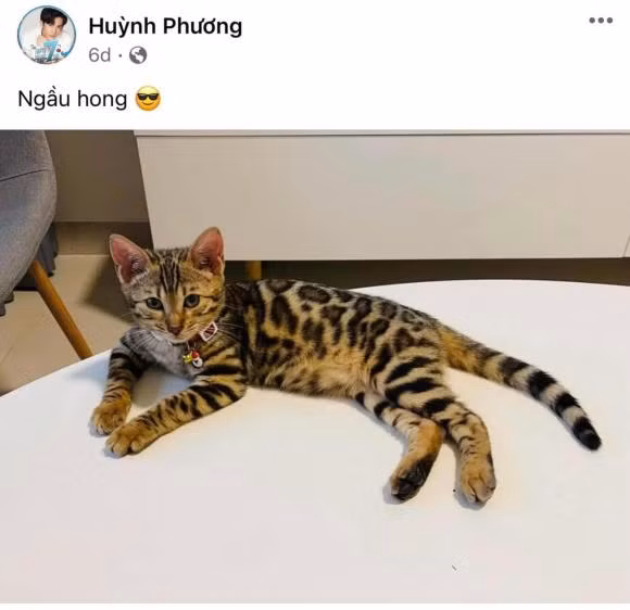 Huynh Phuong dinh tin don hen ho voi hot girl xinh dep-Hinh-3