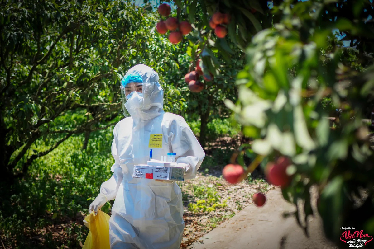 "Quỳnh. Tôi chỉ kịp biết tên em trong những ngày cuối tháng 6/2021 khi dịch covid-19 bùng phát tại huyện Lục Ngạn, tỉnh Bắc Giang", Đông Giang chia sẻ trong bộ ảnh "Chân dung cô gái Quân y trong đại dịch". Quỳnh công tác tại Quân y Viện 110, được phân công tới những gia đình có nguy cơ cao ở tâm dịch Lục Ngạn để lấy mẫu xét nghiệm. Dưới cái nắng nóng, khoác bộ đồ bảo hộ kín mít, người ướt đẫm mồ hôi, cô thể hiện tinh thần lạc quan khi cùng nhóm hoàn thành nhiệm vụ được giao.