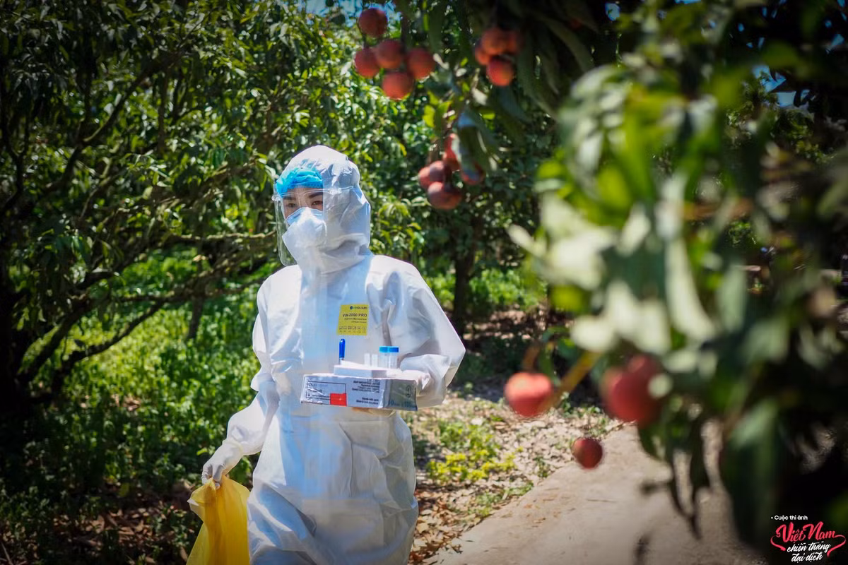 "Quỳnh. Tôi chỉ kịp biết tên em trong những ngày cuối tháng 6/2021 khi dịch covid-19 bùng phát tại huyện Lục Ngạn, tỉnh Bắc Giang", Đông Giang chia sẻ trong bộ ảnh "Chân dung cô gái Quân y trong đại dịch". Quỳnh công tác tại Quân y Viện 110, được phân công tới những gia đình có nguy cơ cao ở tâm dịch Lục Ngạn để lấy mẫu xét nghiệm. Dưới cái nắng nóng, khoác bộ đồ bảo hộ kín mít, người ướt đẫm mồ hôi, cô thể hiện tinh thần lạc quan khi cùng nhóm hoàn thành nhiệm vụ được giao.