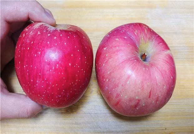 Phan biet cac giong tao ngon va 4 cach de mua trung qua gion