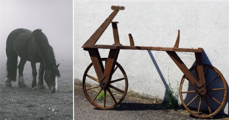 Hóa ra tàu lượn được phát minh ra nhờ vào những lý do vô cùng "đặc biệt" - Hình 3 Hoa ra tau luon duoc phat minh ra nho vao nhung ly do vo cung