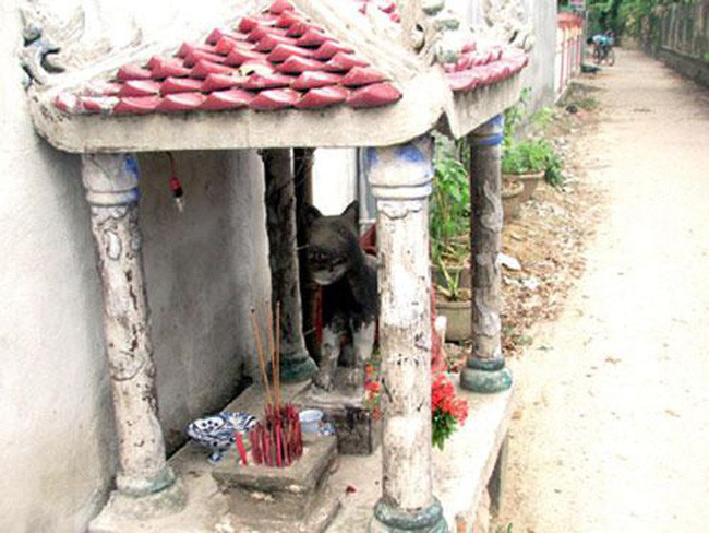 Ly ky xung quanh viec tho “Thien cau” tai ngoi mieu thieng xu Hue-Hinh-3