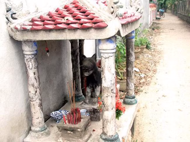 Ly ky xung quanh viec tho “Thien cau” tai ngoi mieu thieng xu Hue-Hinh-3