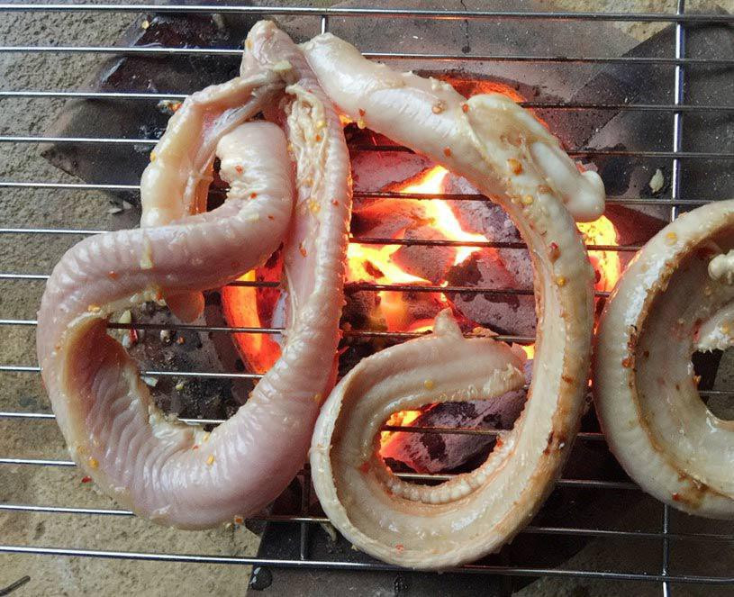 Loài cá đặc sản ở Việt Nam xưa giá rẻ bèo nay lên tới 400.000 đồng/kg - Hình 3 Loai ca dac san o Viet Nam xua gia re beo nay len toi 400.000 dong/kg-Hinh-3