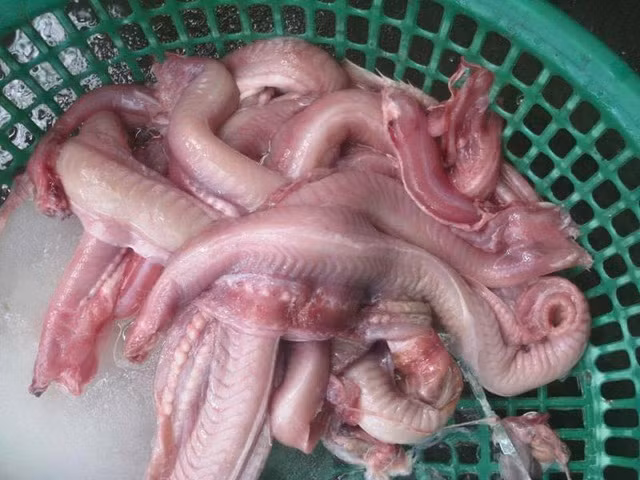 Loai ca dac san o Viet Nam xua gia re beo nay len toi 400.000 dong/kg-Hinh-2