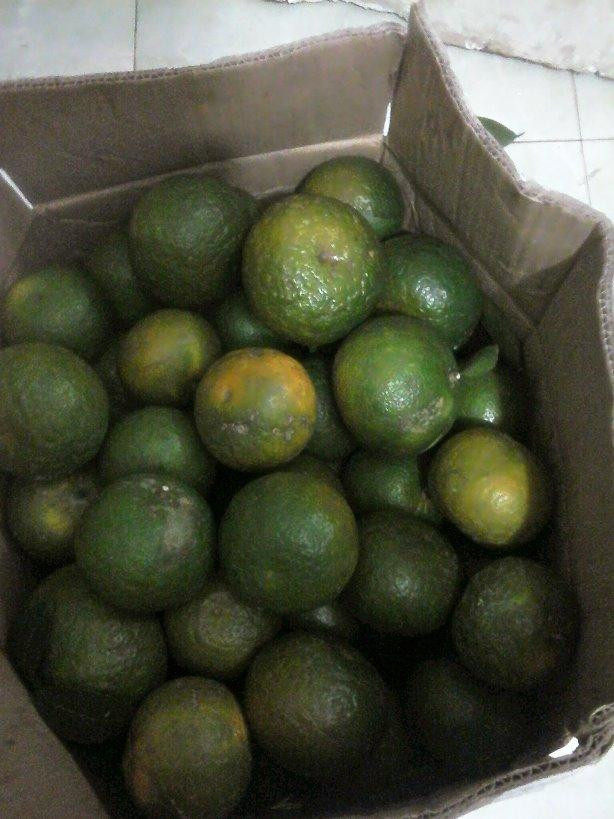 Me chong de biu thong gia bieu cam re tien, con dau tra loi soc-Hinh-2