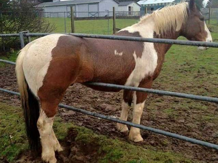 Một màn mắc kẹt khó hiểu.