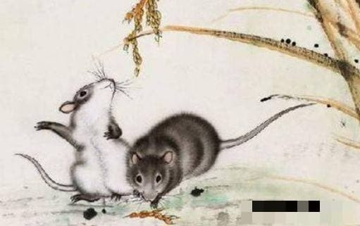  Tuổi Tý. Tý trời sinh cá tính mạnh mẽ hơn người, nhưng trong tính tình lại vô cùng tốt bụng, hiền lành, sống biết trước biết sau, sẵn sàng giúp đỡ những người có hoàn cảnh khó khăn.