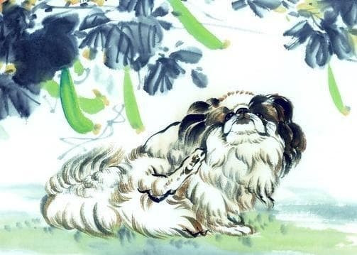  Tuổi Tuất. Trong số 12 con giáp thì tuổi Tuất chính là người dám nghĩ dám làm, có khát khao làm giàu nên những ngày đầu lập nghiệp dù khổ đến mấy Tuất cũng theo đuổi đến cùng.