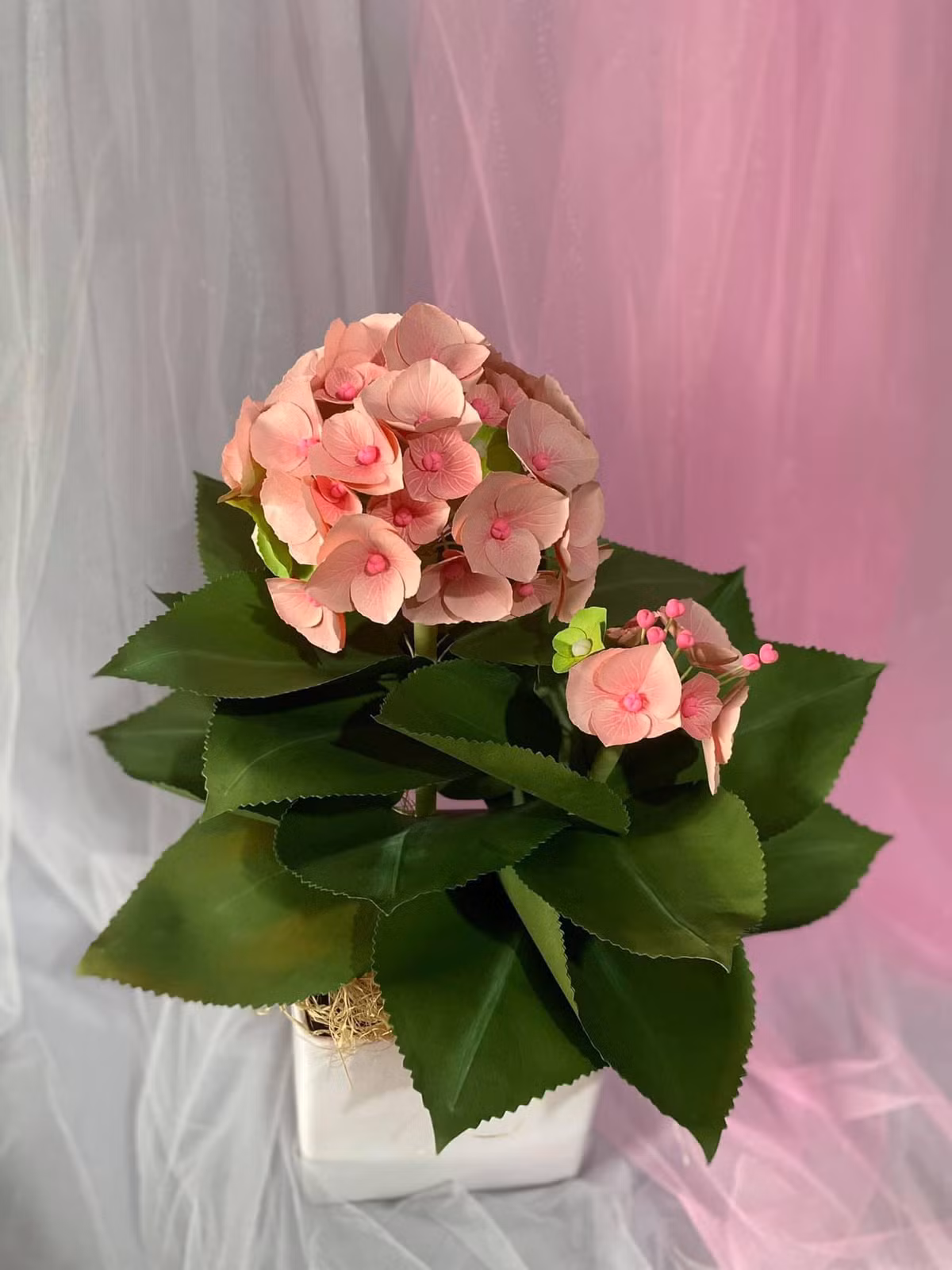 Tiem hoa giay mang hy vong cua co gai mac benh xuong thuy tinh-Hinh-2