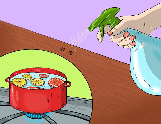 Meo giup diet tru 10 loai con trung nguy hiem nay trong nha-Hinh-5