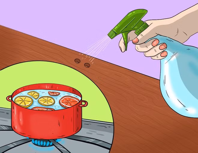 Meo giup diet tru 10 loai con trung nguy hiem nay trong nha-Hinh-5