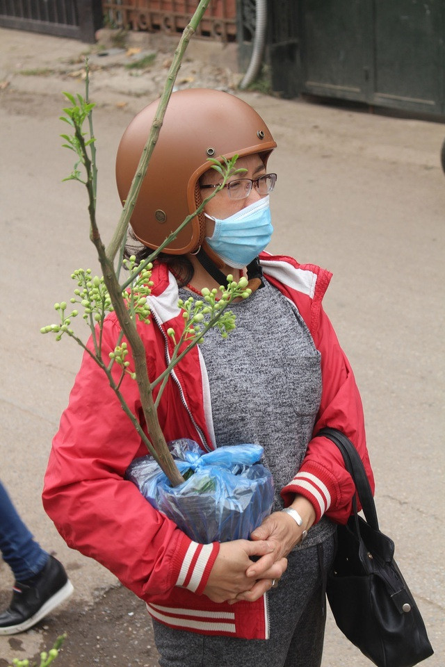 Một thượng khách mua cây chia sẻ, đây là lần đầu tiên chị biết đến dòng bưởi cảnh chuyên cho hoa. Do quá tò mò và thích thú, chị đã quyết tâm rút ví, chi tiền mua một cây về nhà trưng bày.